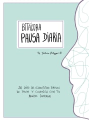 BITACORA PAUSA DIARIA