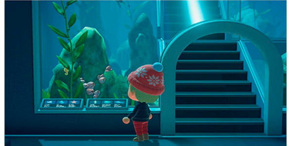 ANIMAL CROSSING N.SWITCH1