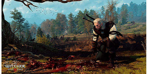 THE WITCHER WILD HUNT PS43