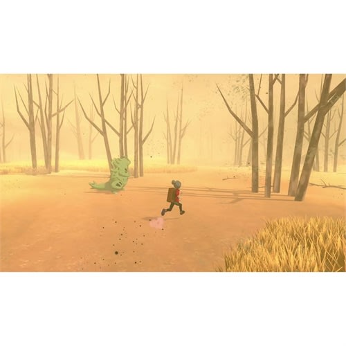 POKEMON SWORD N.SWITCH5