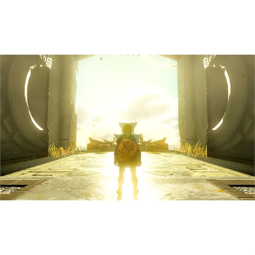 THE LEGEND OF ZELDA TEARS OF THE KINGDOM N.SWITCH3