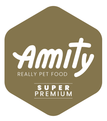 AMITY DOG