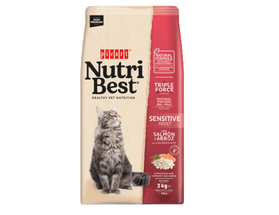 Nutri Best Adulto Sensitive Salmon/Arroz Gato