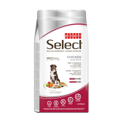 select dog adulto medium pollo/arroz