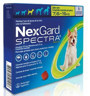NexGard Spectra 7.6 - 15 KG 1 Comprimido