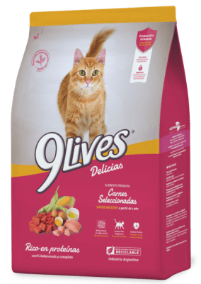 9 Lives Gatos Adultos Carne