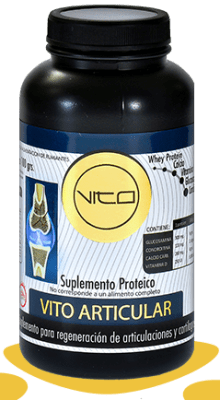 Vito Articular Suplemento Proteico Para Perros
