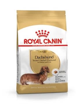 Royal Canin Dachshund Adulto