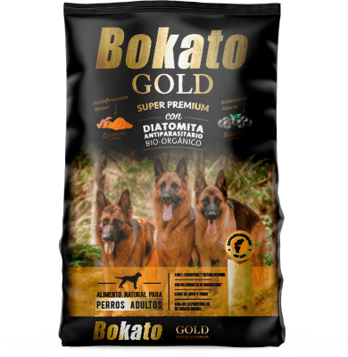 Bokato Gold Perro Adulto