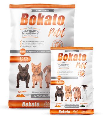 Bokato Petit Adulto Razas Pequeñas