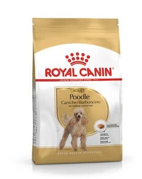 Royal Canin Poodle Caniche Adulto