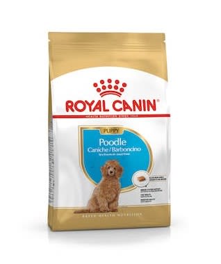 Royal Canin Poodle Caniche Puppy