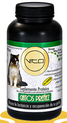 Vito Gatos Preñez Suplemento Proteico 100 gr