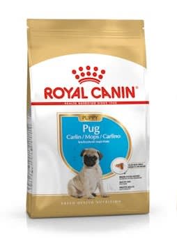 Royal Canin Pug Puppy