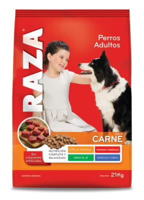 Raza Perro Adulto