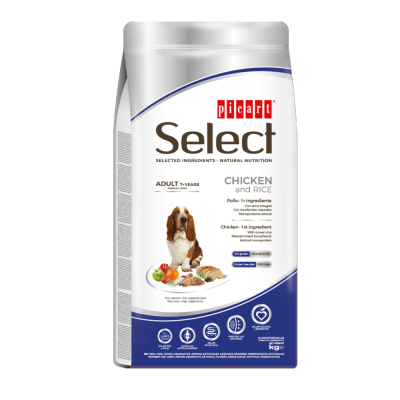 Select Adulto Medium/Maxi +7 Perro
