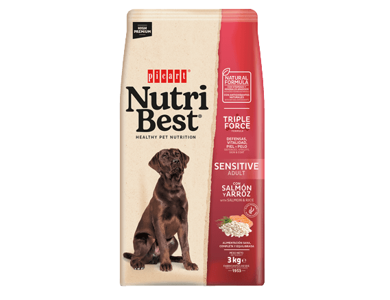 Nutri Best Adulto Sensitive Salmon/Arroz Perro1