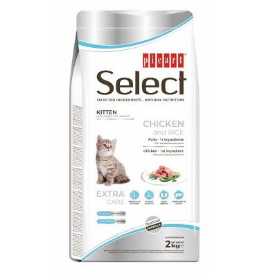 Select Kitten Pollo Gato1