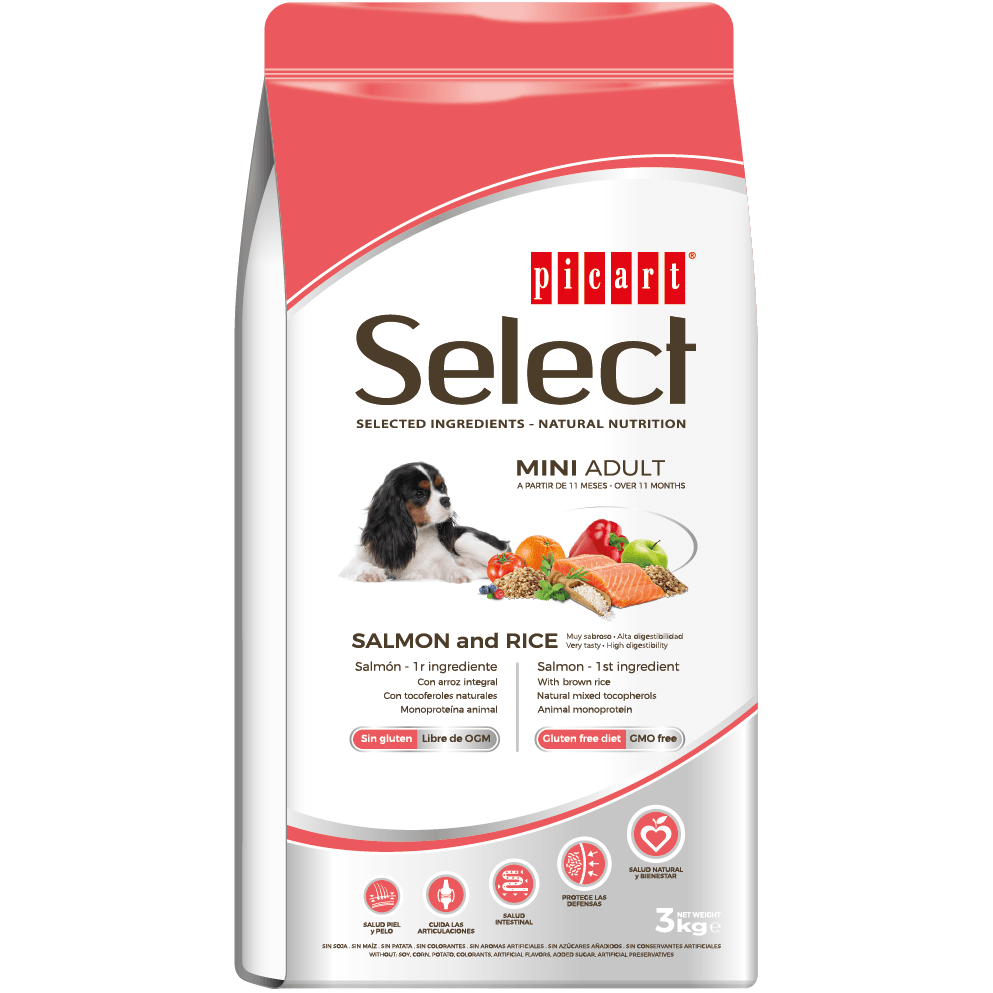 Select Mini Adulto Pollo/Arroz Perro1