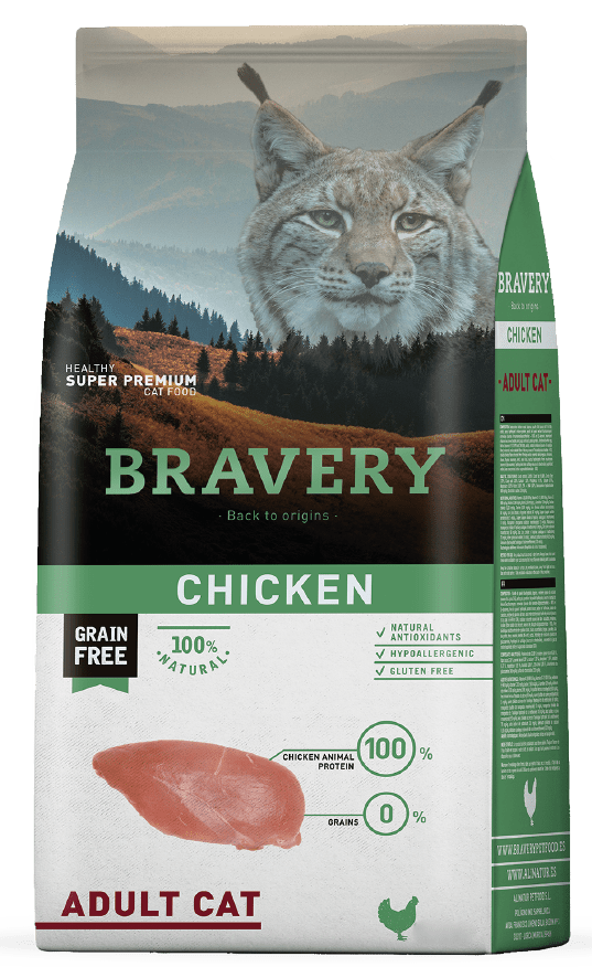 Bravery Chicken Adult Cat1