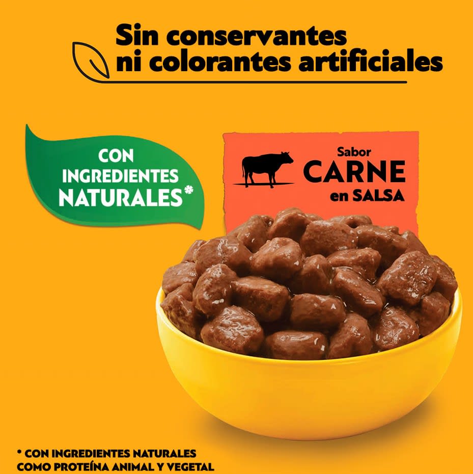 PEDIGREE® SOBRES™ Adulto Razas Pequeñas En Salsa Sabor Carne 100 gr2