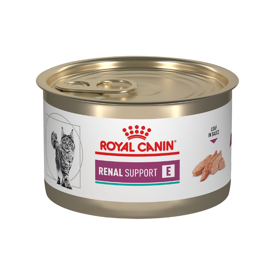 Royal Canin Lata Renal Gato1