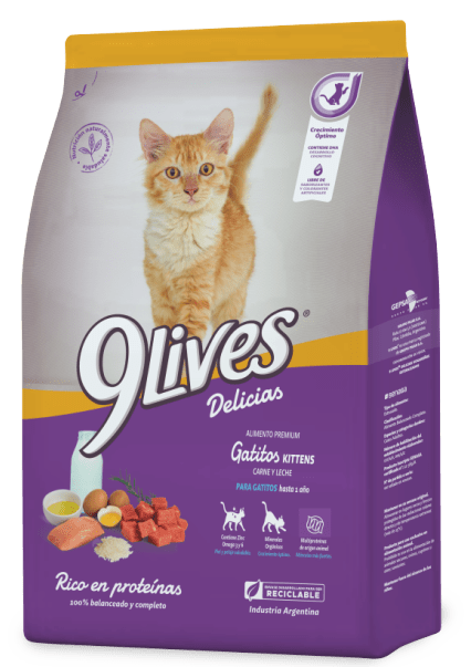 9 Lives Gatitos 8 kg1