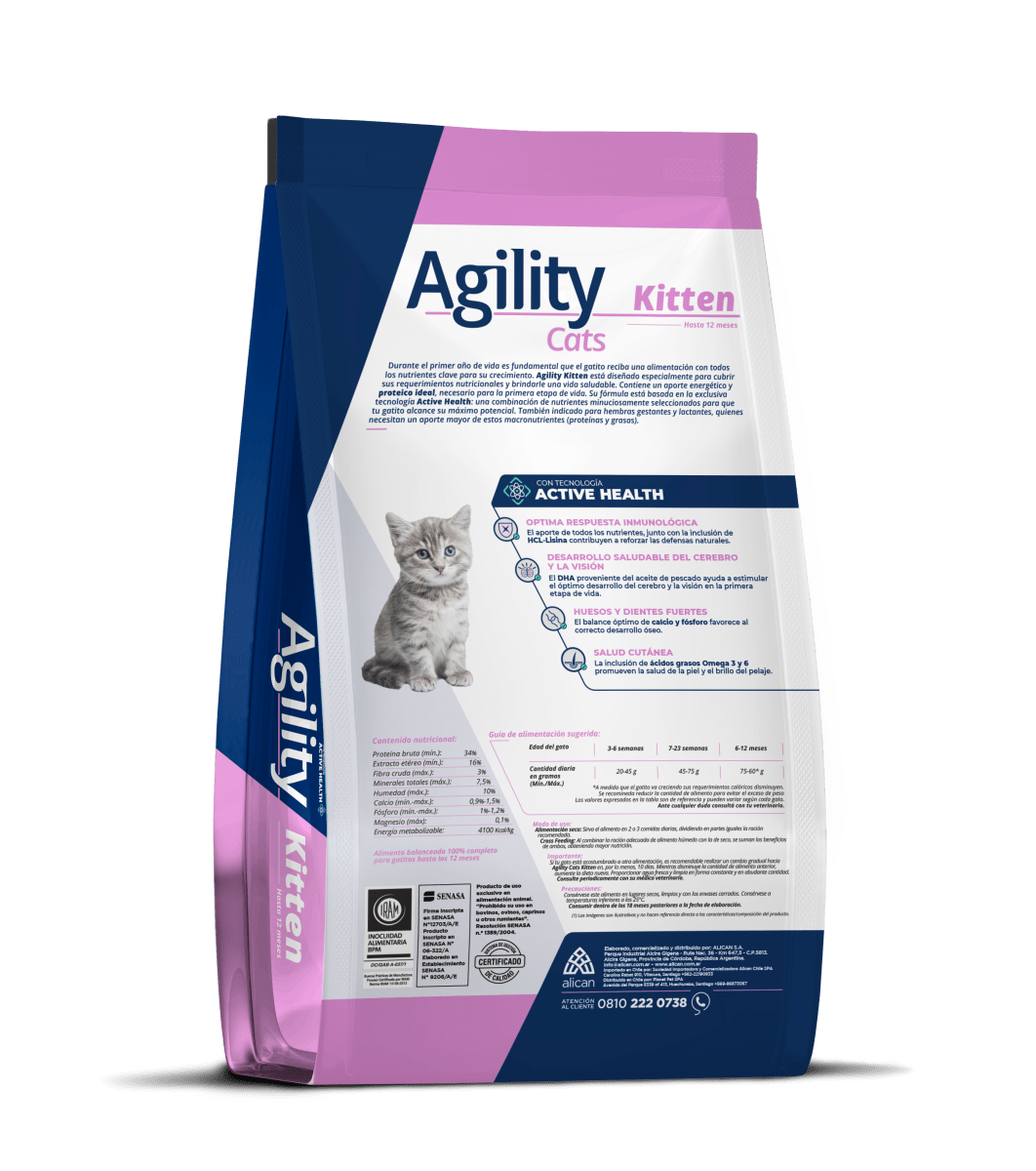 Agility Gato Kitten2