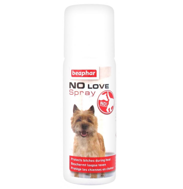 NO LOVE SPRAY 50 ML.1
