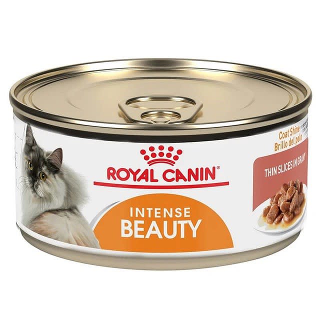 Royal Canin Lata Beauty1