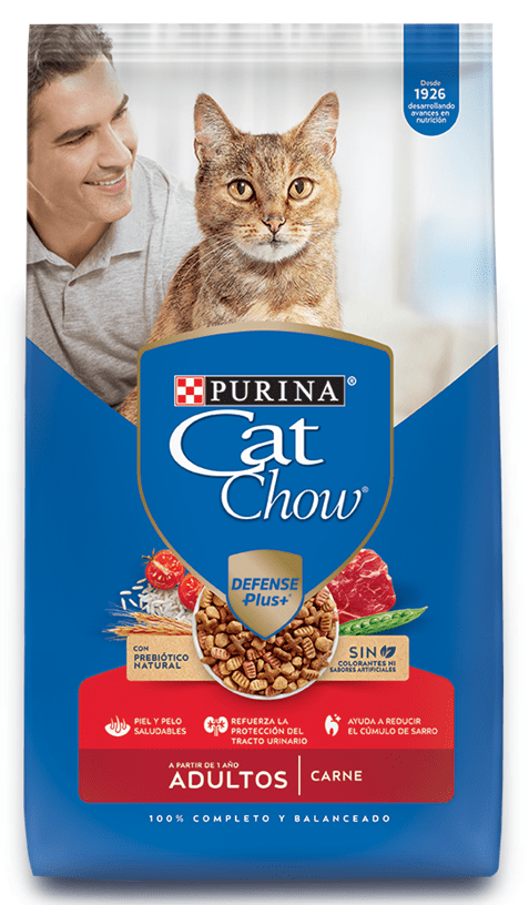 Cat Chow Carne1