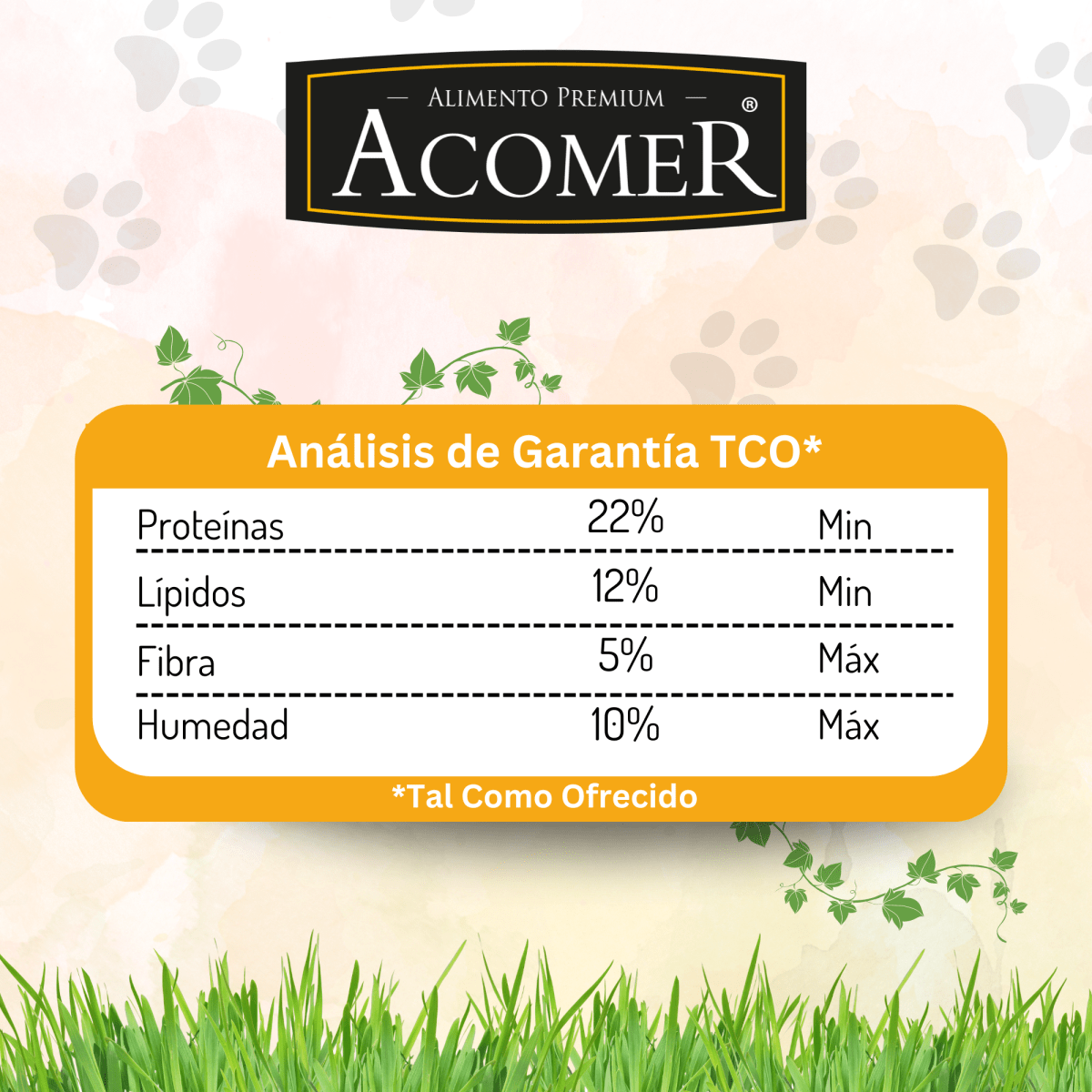 Acomer Perro Adulto3