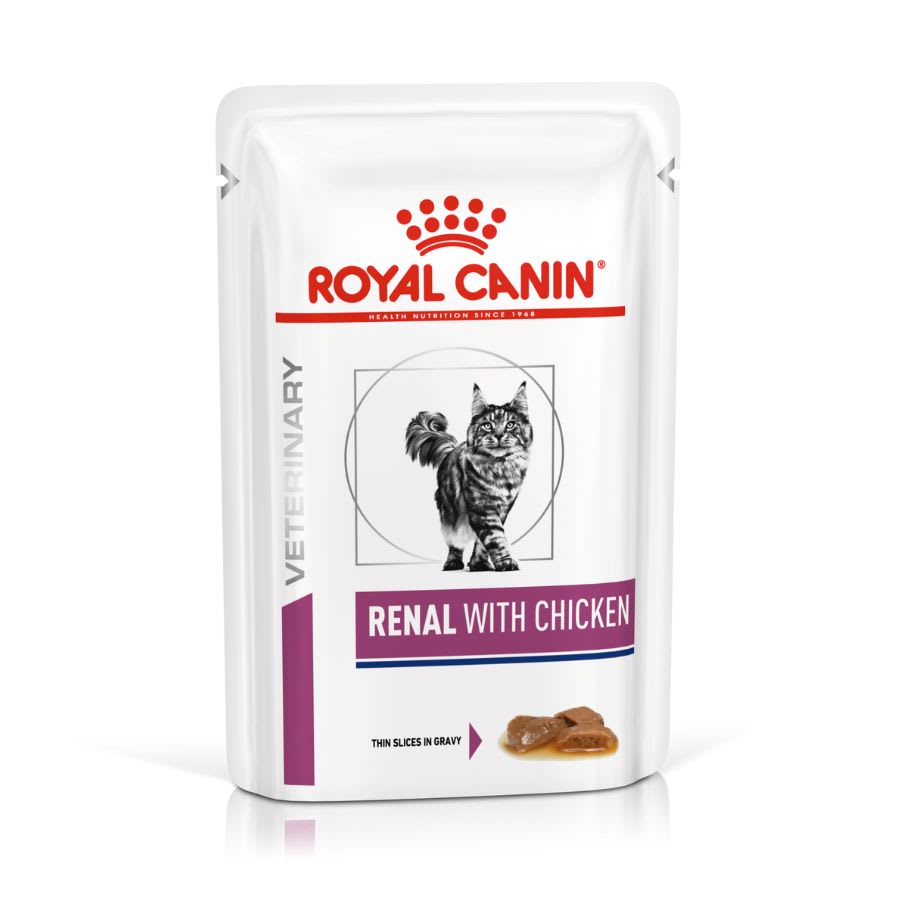 Royal Canin Sachet Renal Gato1