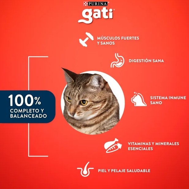 Gati Adulto Carne y Pollo 15 kg3