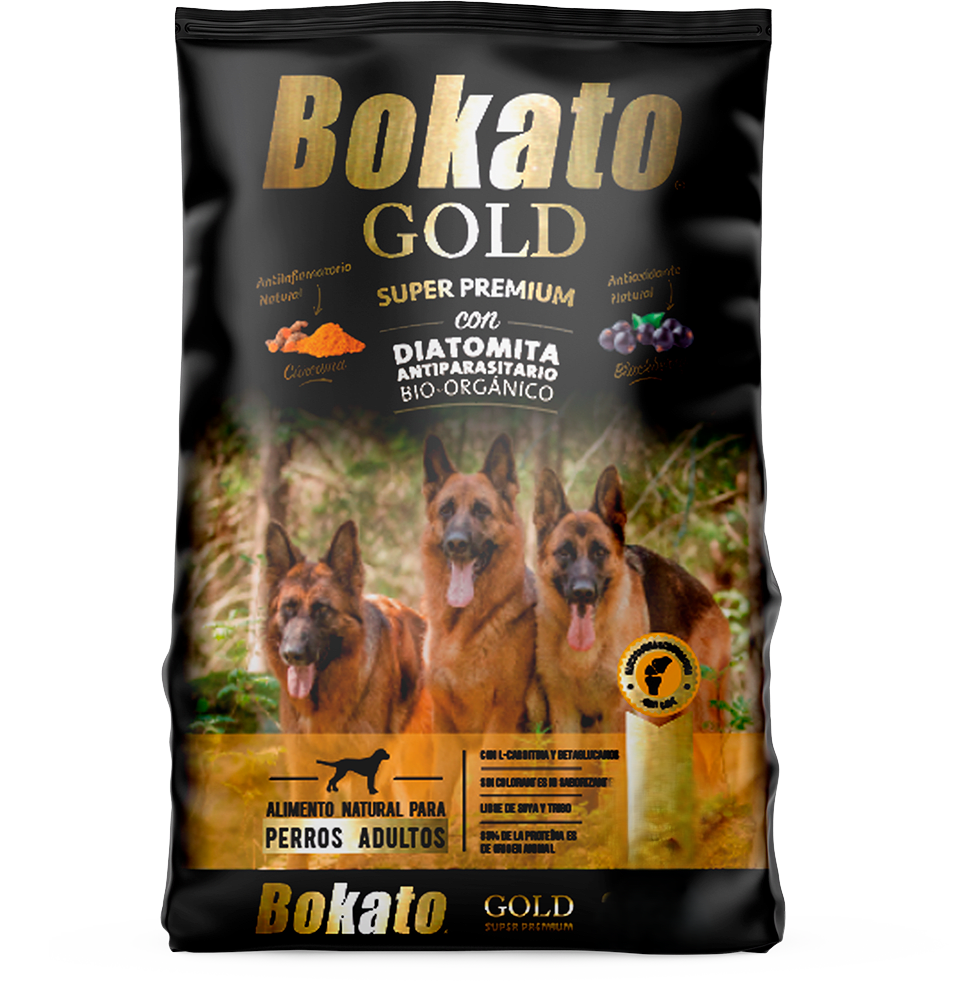 Bokato Gold Perro Adulto1