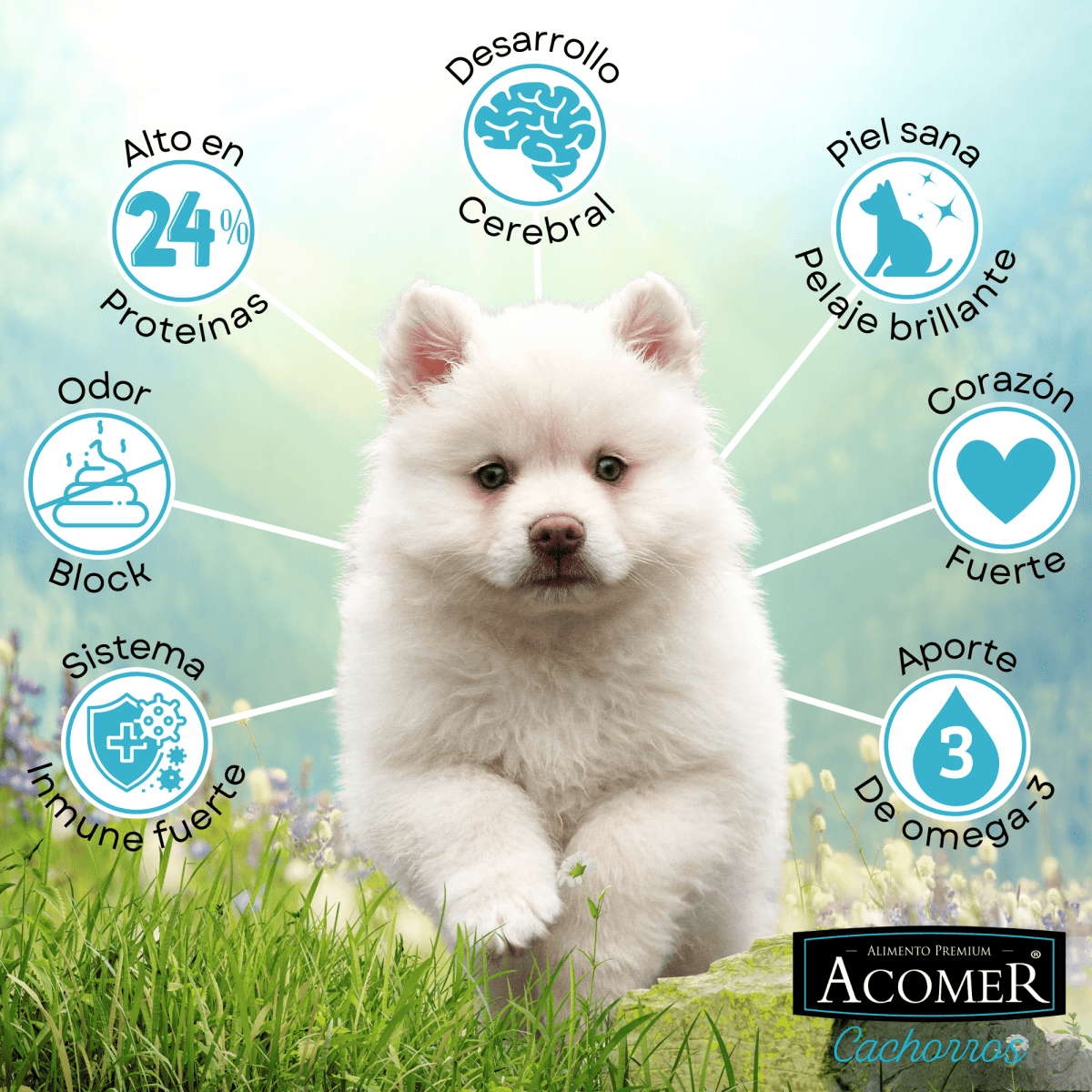 Acomer Perros Cachorros 10 kg2