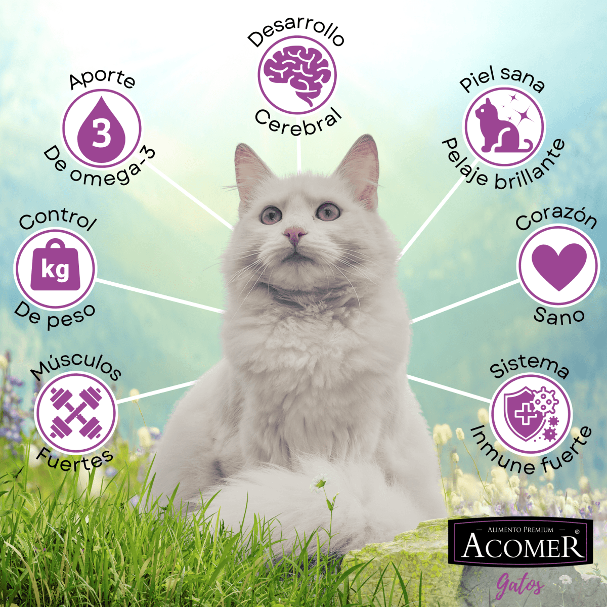 Acomer Gatos 10 kg2
