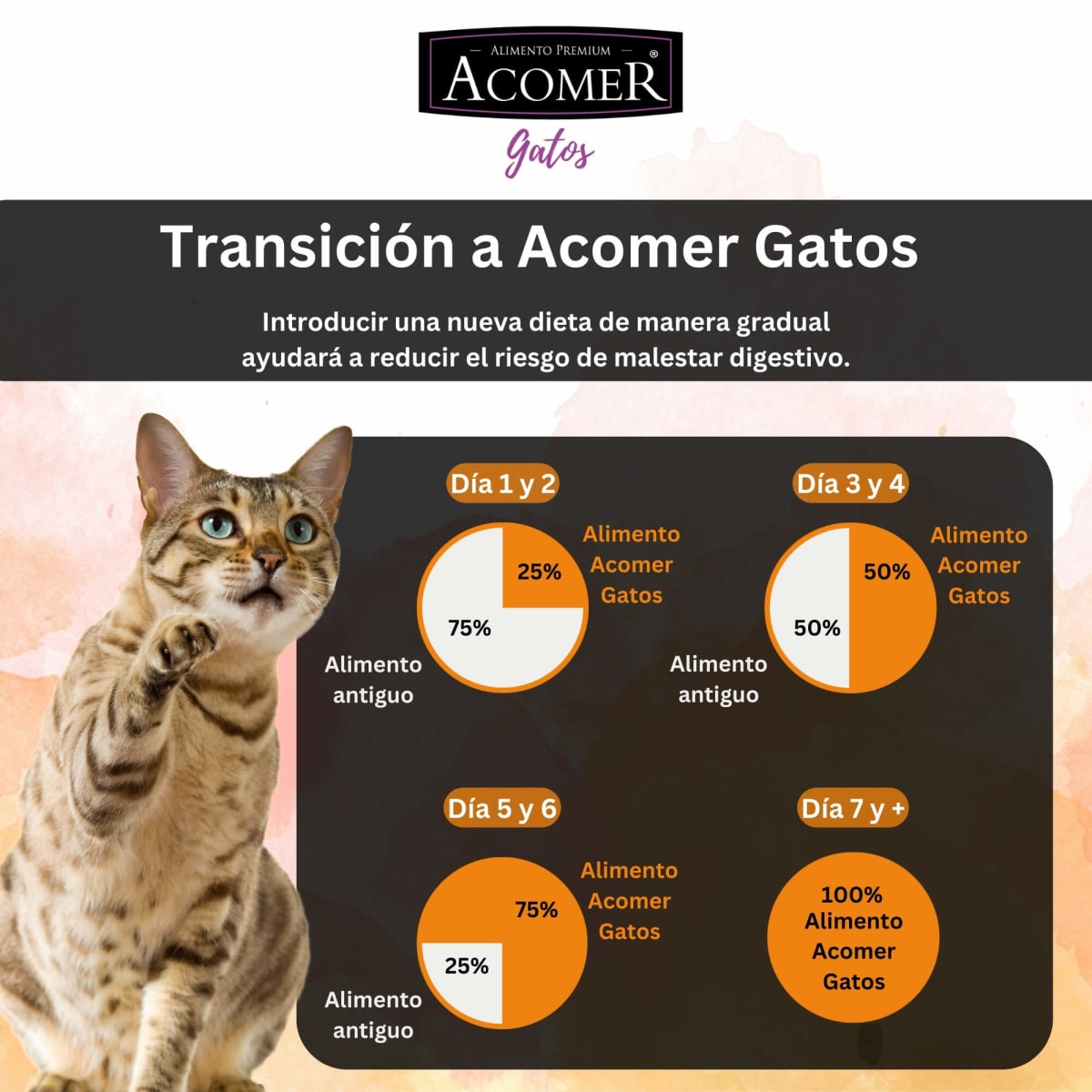 Acomer Gatos 10 kg5