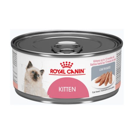 Royal Canin Lata Kitten1