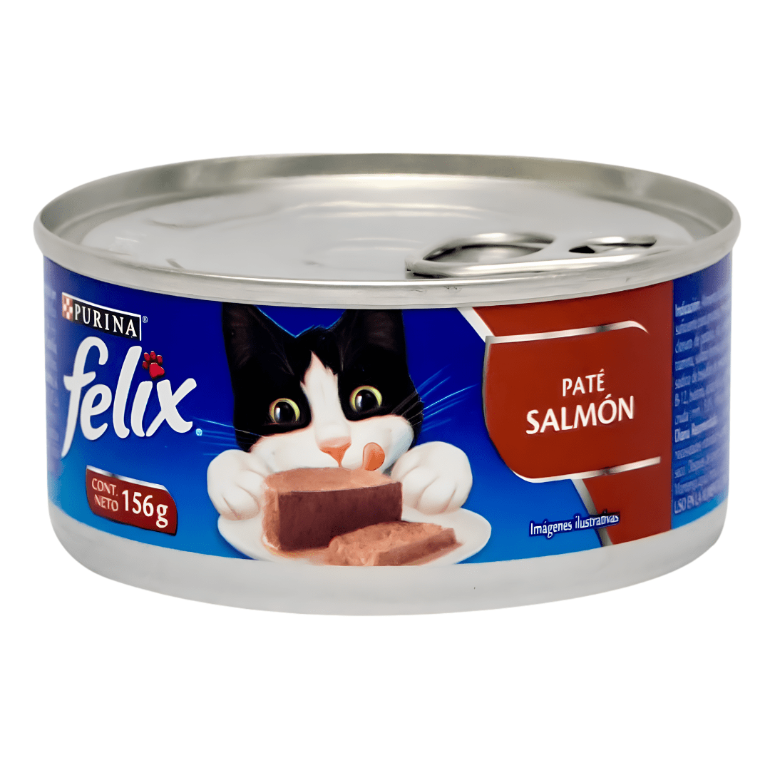 LATA FELIX SALMÓN1