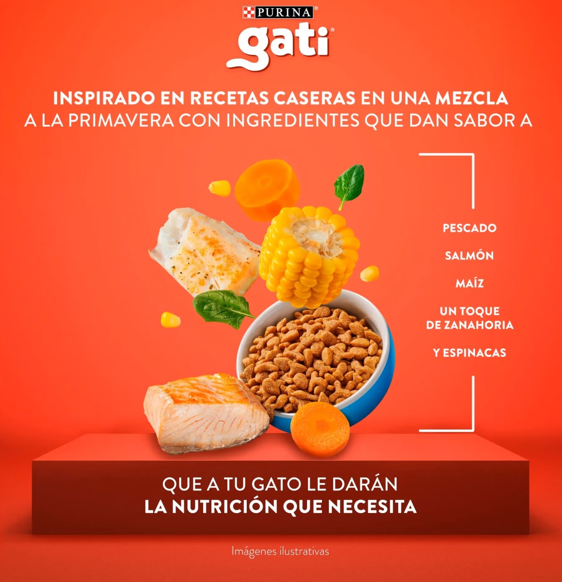 Gati Adulto Pescado y Salmon 15 kg2