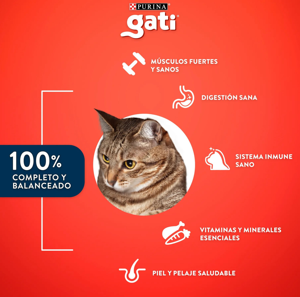 Gati Adulto Pescado y Salmon 15 kg3