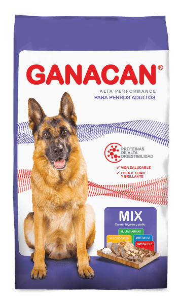 Ganacan Mix Adulto 22+3 kg1