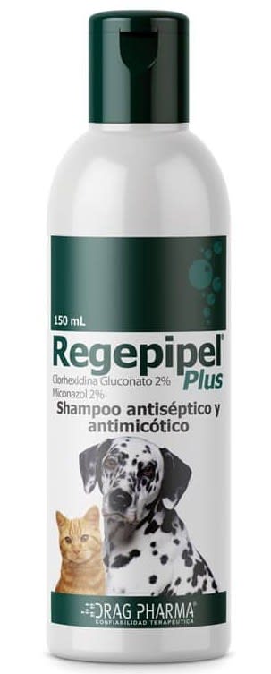Regepipel® Plus Shampoo Antiséptico y Antimicótico 150 ml1