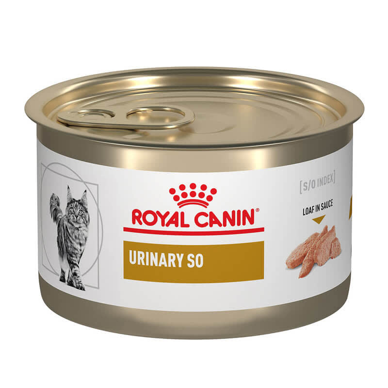 Royal Canin Lata Urinary s/o Gato1