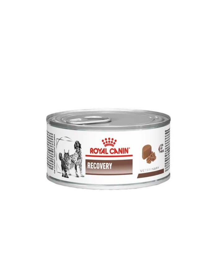Royal Canin Lata Recovery1