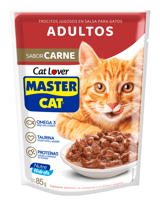 Master Cat Sachet Carne 85 gr1