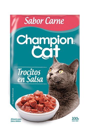 Champion Cat Sachet Carne 100 gr1