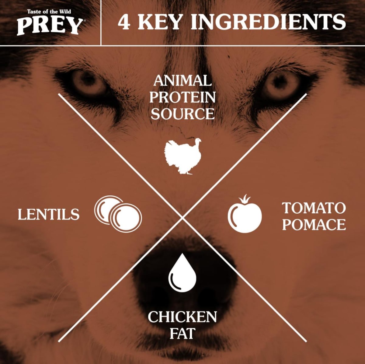 Taste Of The Wild Prey Turkey Canino5