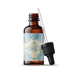 Melena de León Sistema Nervioso  Be Healthy Gotas